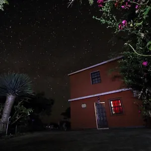 Bodega Goyo Puntallana